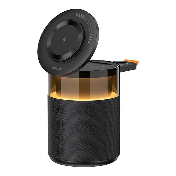 RECCI RCW-51 5IN1 Charger